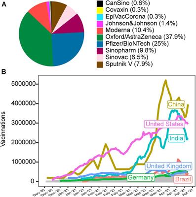 Correlation Between SARS-Cov-2 Vaccination, COVID-19 Incidence and Mortality: Tracking the Effect of Vaccination on Population Protection in Real Time